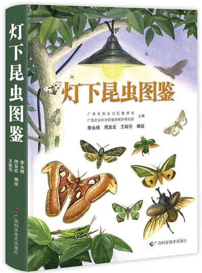 图片5.png
