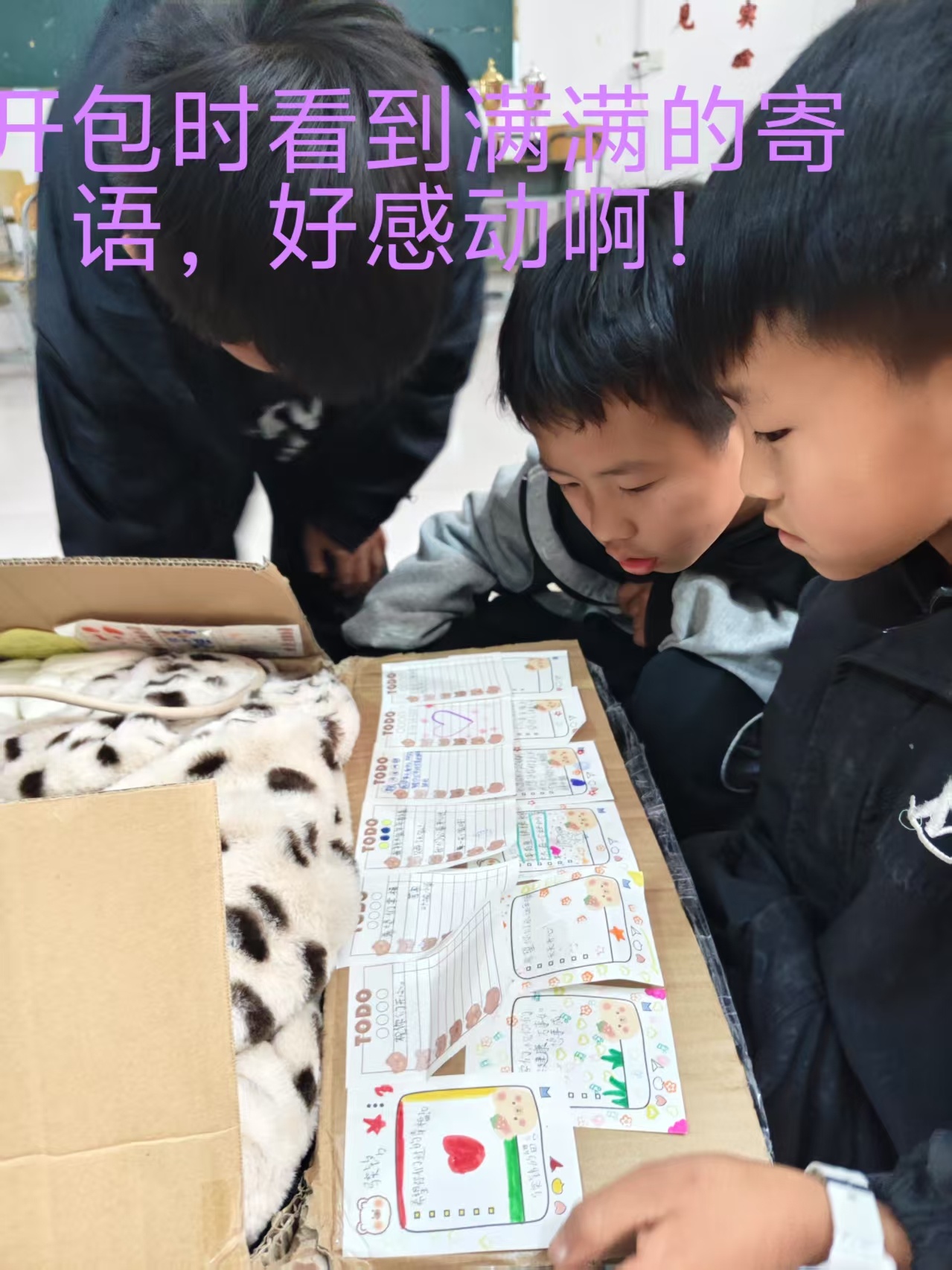 微信图片_20250506153313.jpg